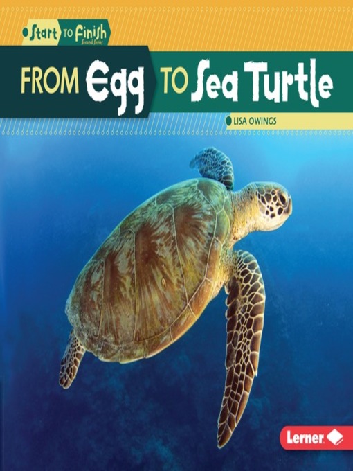 Title details for From Egg to Sea Turtle by Lisa Owings - Available